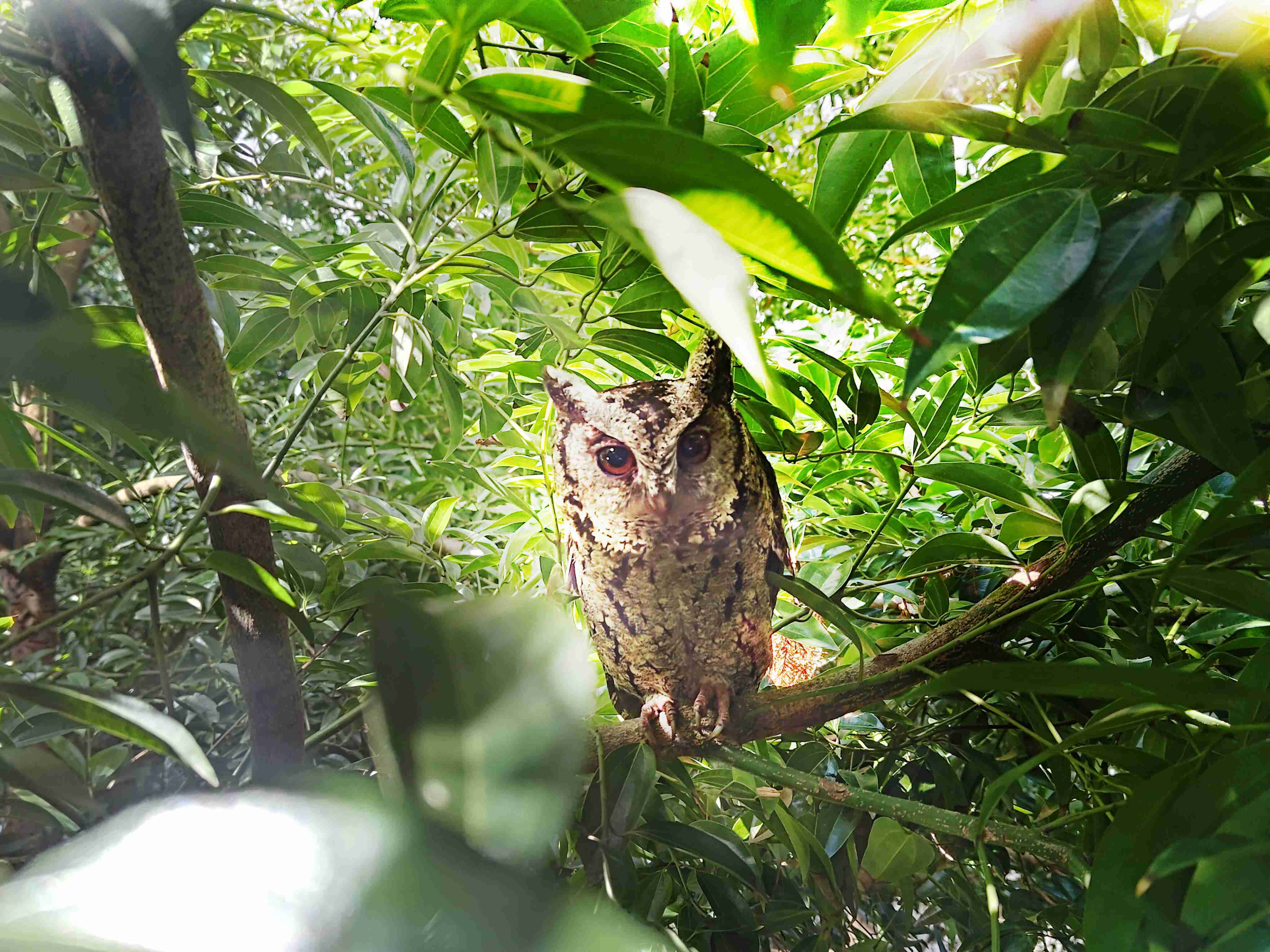 彩霸王致力提倡净零绿生活，，16年以来在全球各厂区植树逾百万棵，，，造就各厂区树木蔚然成林，，，，犹如森林工厂，，，成为许多生物的栖息地